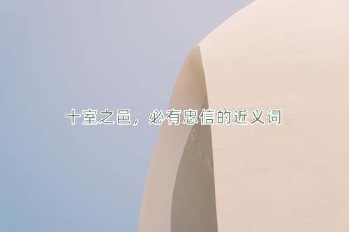 十室之邑，必有忠信的近义词