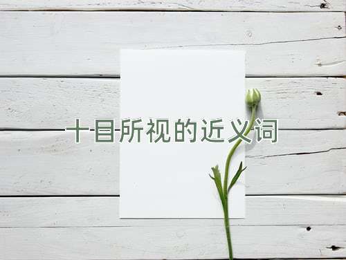 十目所视的近义词