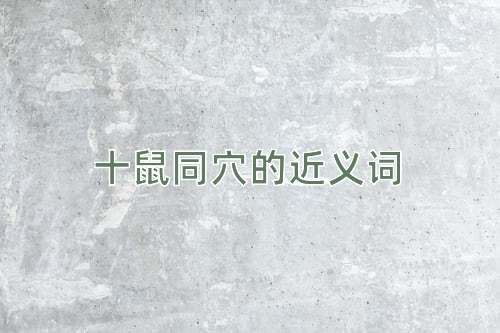 十鼠同穴的近义词