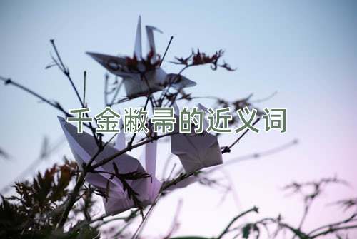 千金敝帚的近义词
