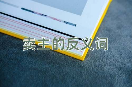 卖主的反义词
