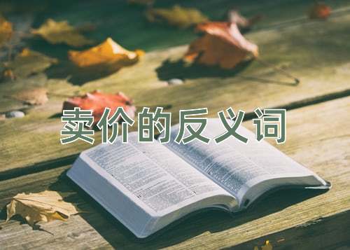 卖价的反义词