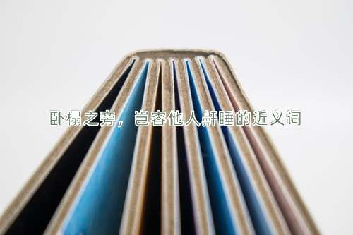 卧榻之旁，岂容他人鼾睡的近义词