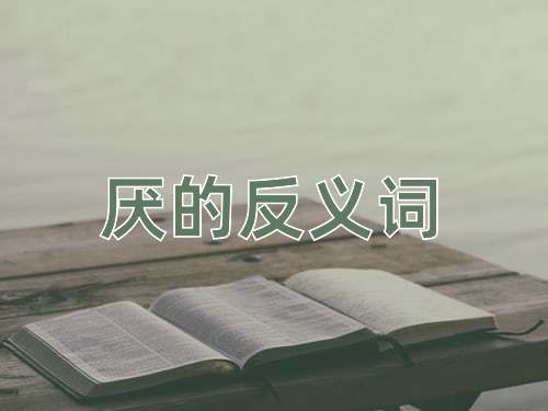 厌的反义词