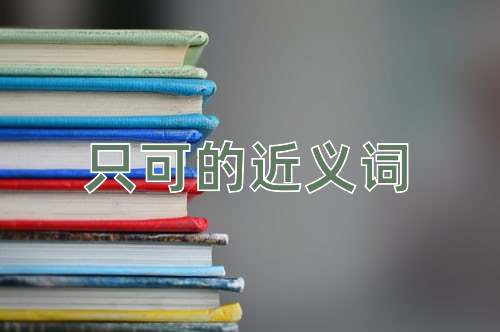 只可的近义词