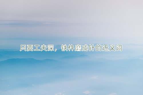 只要工夫深，铁杵磨成针的近义词