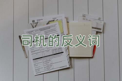 司机的反义词