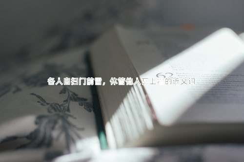 各人自扫门前雪，休管他人瓦上霜的近义词