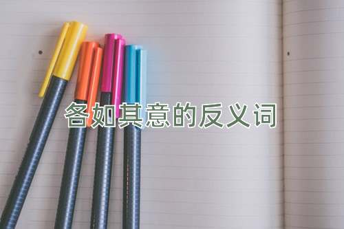 各如其意的反义词