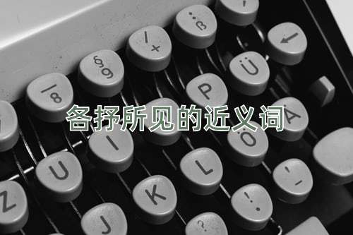 各抒所见的近义词