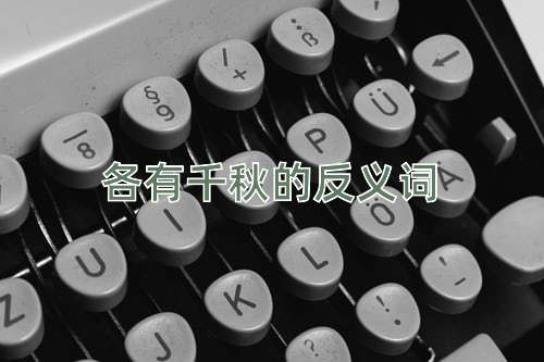 各有千秋的反义词