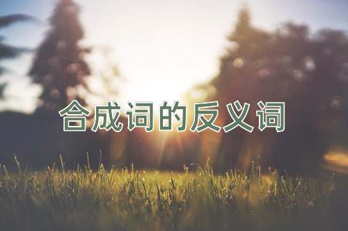 合成词的反义词