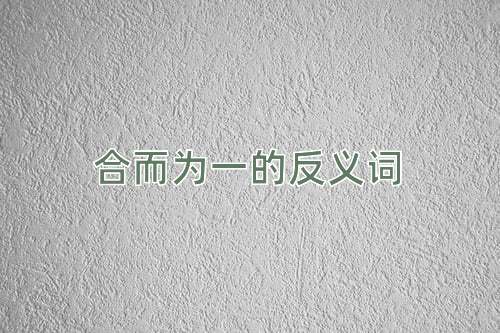 合而为一的反义词