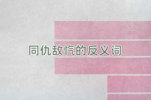 同仇敌忾的反义词