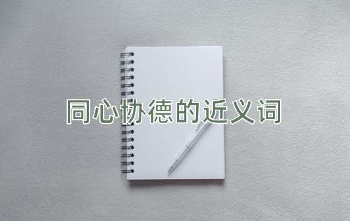 同心协德的近义词