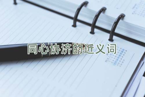 同心协济的近义词