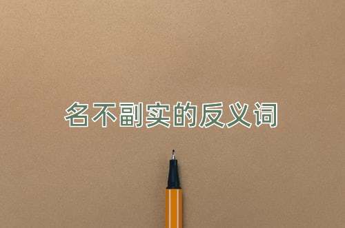 名不副实的反义词
