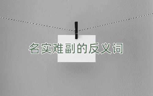 名实难副的反义词