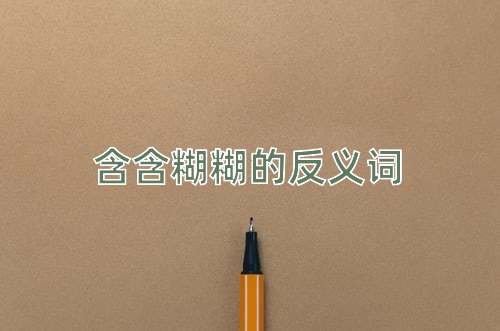 含含糊糊的反义词