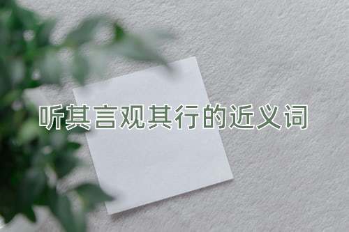 听其言观其行的近义词