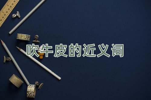 吹牛皮的近义词