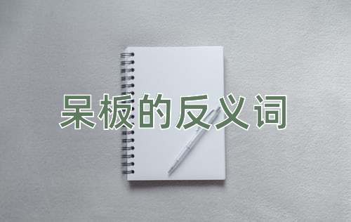 呆板的反义词