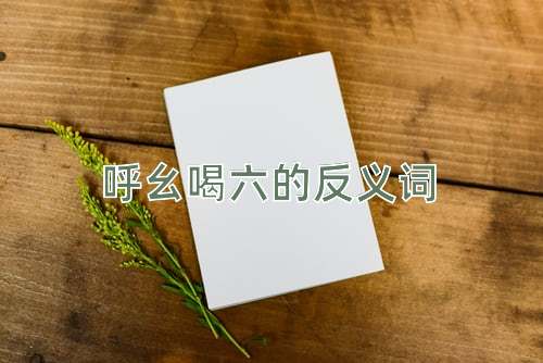 呼幺喝六的反义词