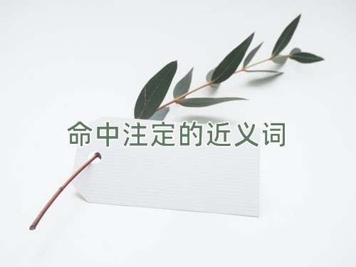 命中注定的近义词