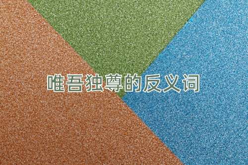 唯吾独尊的反义词