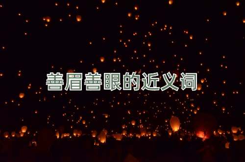 善眉善眼的近义词