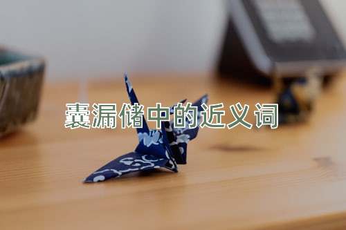 囊漏储中的近义词