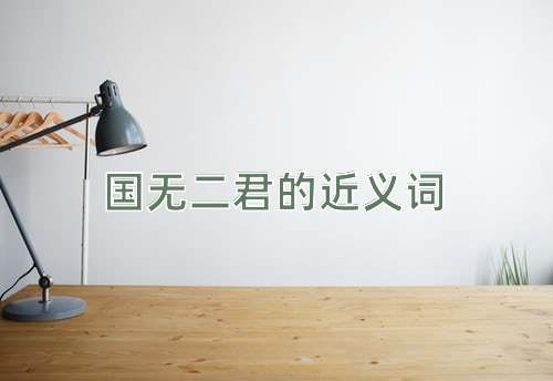 国无二君的近义词