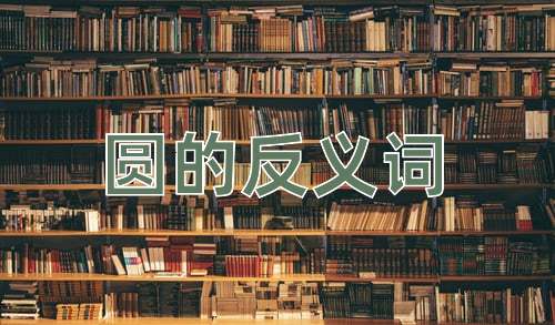 圆的反义词