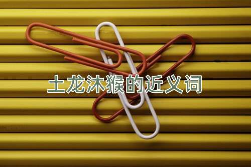 土龙沐猴的近义词