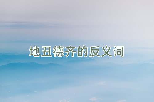 地丑德齐的反义词