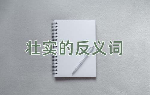 壮实的反义词