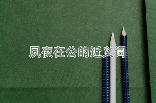 夙夜在公的近义词