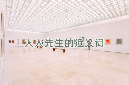 大人先生的近义词