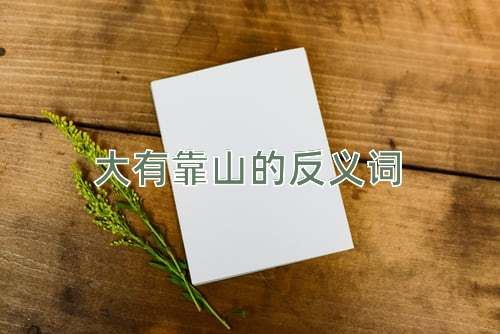 大有靠山的反义词
