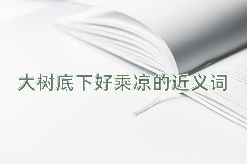 大树底下好乘凉的近义词