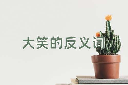 大笑的反义词