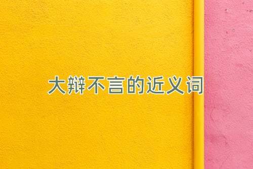 大辩不言的近义词