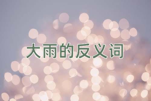大雨的反义词