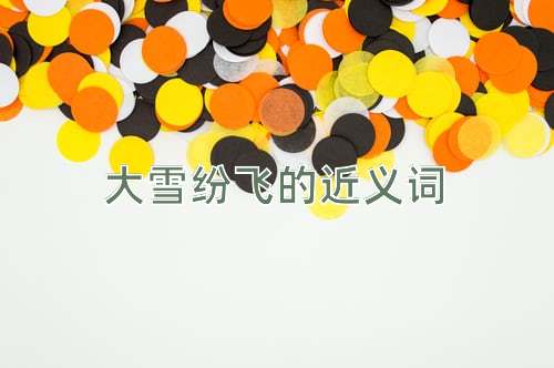 大雪纷飞的近义词