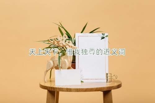 天上天下，惟我独尊的近义词