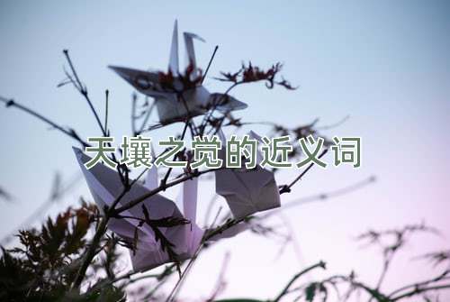 天壤之觉的近义词
