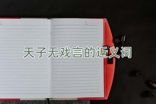 天子无戏言的近义词