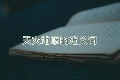 天灾地孽的近义词