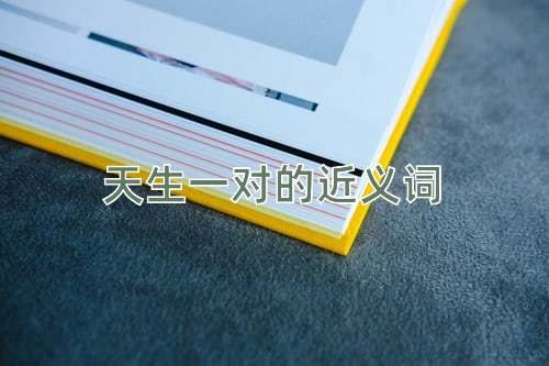 天生一对的近义词
