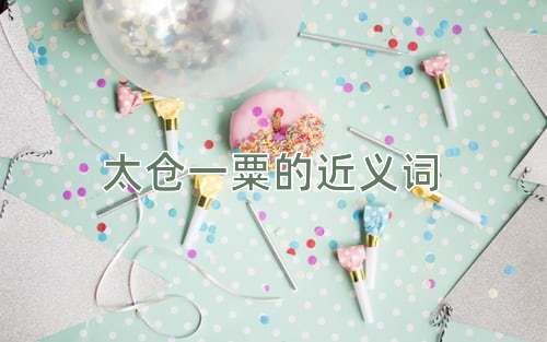 太仓一粟的近义词